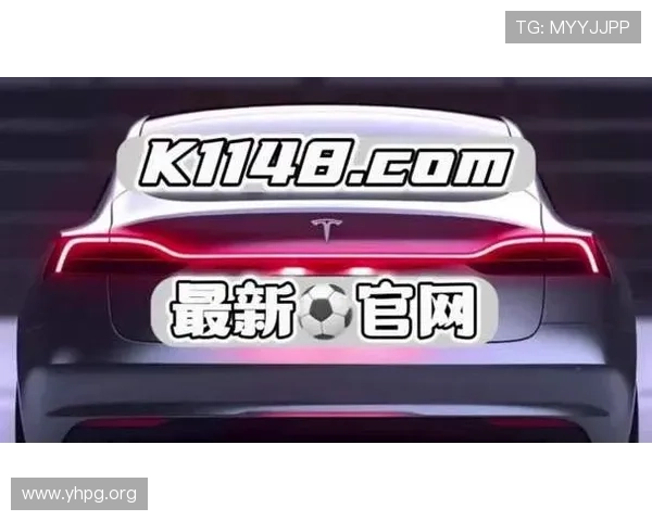 全面解析大发体育登录平台的最新安全与娱乐体验